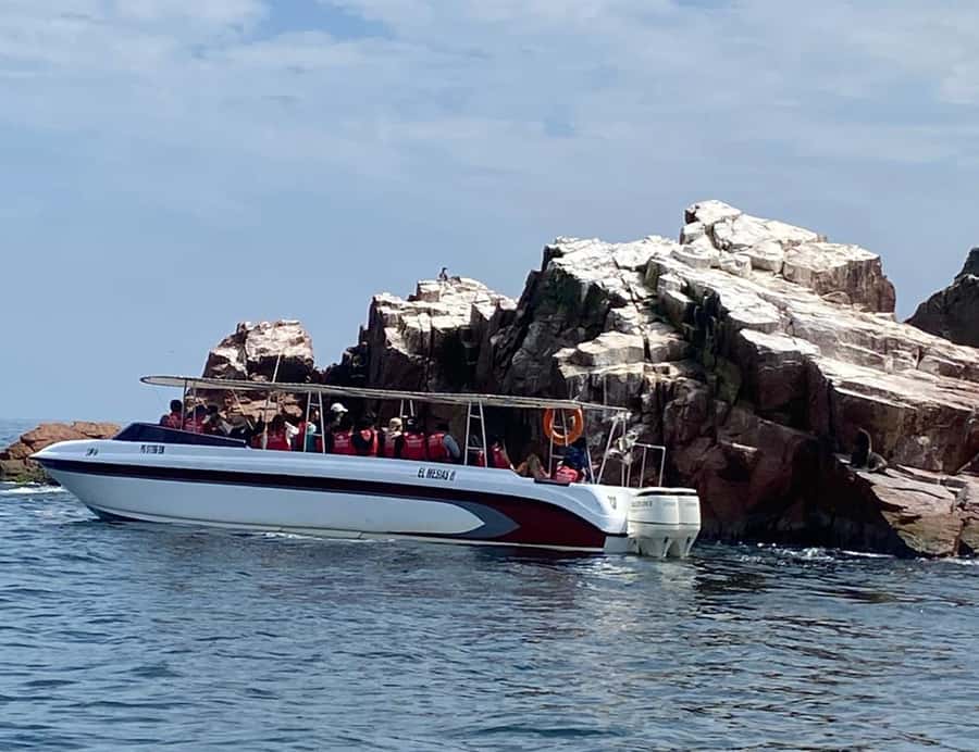 Paracas: Ballestas Islands Morning Boat Tour - What Makes the Morning Timing Work (and What It Doesn’t)