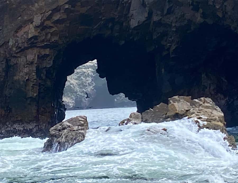 Paracas: Ballestas Islands Morning Boat Tour - Tips I’d Actually Use Before You Go
