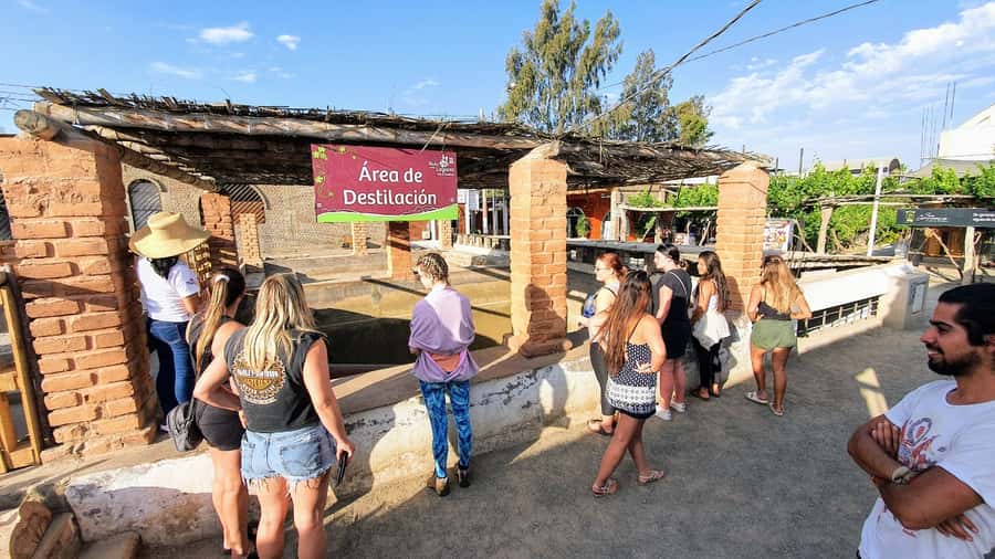 Paracas or Pisco: Private Huacachina Oasis Tour & Buggy Ride - Paracas to Huacachina, with a Pisco detour that actually matters