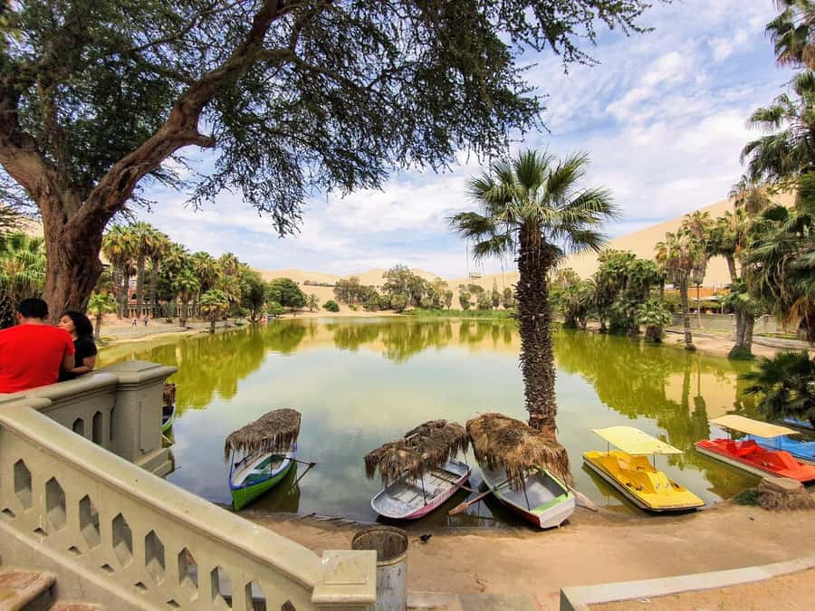 Paracas or Pisco: Private Huacachina Oasis Tour & Buggy Ride - Price and logistics: what $100 per person buys you, and what can sting