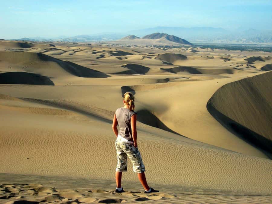 Paracas or Pisco: Private Huacachina Oasis Tour & Buggy Ride - The Ica winery stop: Pisco tasting plus a real sense of place