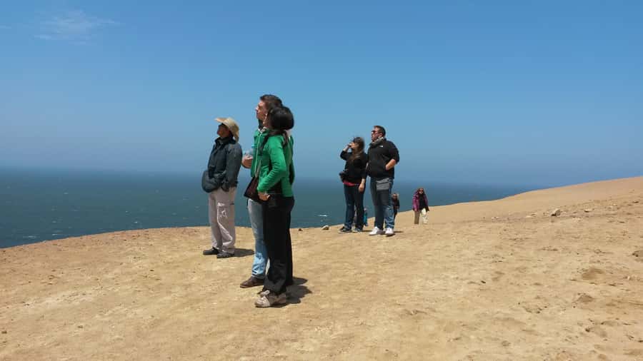 Paracas:Private Tours Paracas National Reserve all inclusive - What makes the private guide format worth paying for
