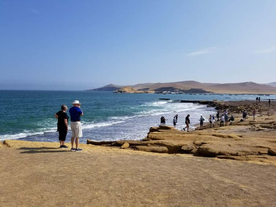 Paracas:Private Tours Paracas National Reserve all inclusive - Pink Lagoon (Lagunillas): the salt and microbe color story