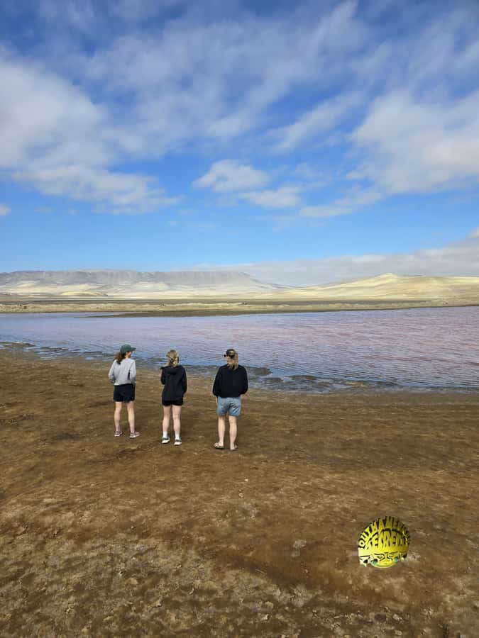 Paracas:Private Tours Paracas National Reserve all inclusive - The flow of the route: from flamingos to rock viewpoints