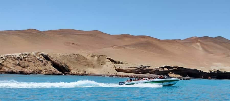 Paracas: speedboat BALLESTAS ISLANDS TOUR - What Might Frustrate You