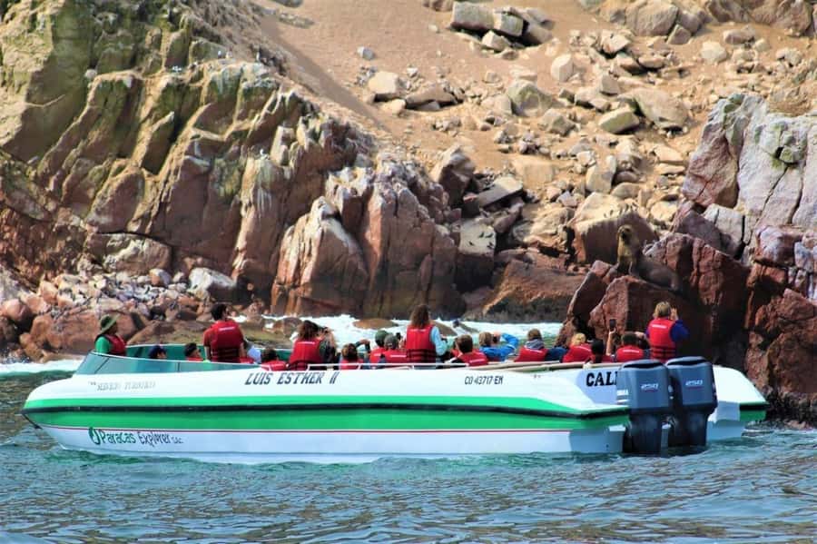 Paracas: speedboat BALLESTAS ISLANDS TOUR - The 2-Hour Speedboat Format: Fast, Fun, Focused