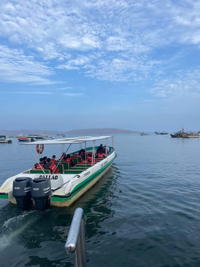 Paracas: speedboat BALLESTAS ISLANDS TOUR - Ballestas Islands: Rock Monuments and “Hold Still” Moments