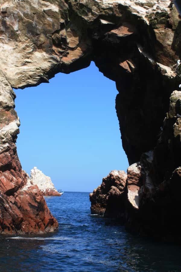 Paracas: speedboat BALLESTAS ISLANDS TOUR - Wildlife Viewing: What You Can Realistically Expect
