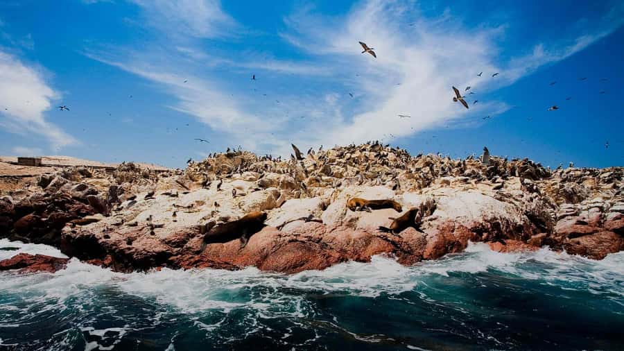 PARACAS|| Sunset trekking in the Paracas National Reserve - The walk itself: 75 minutes along cliffs and beaches