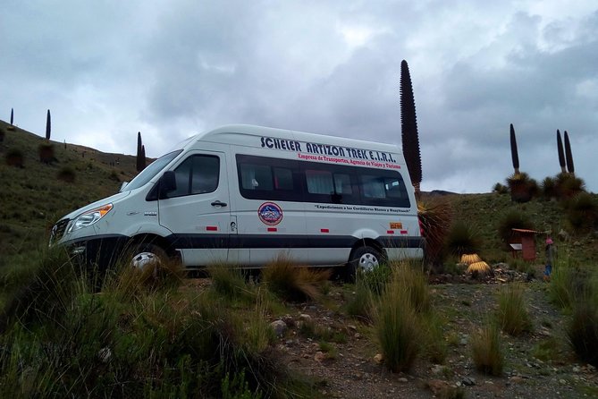 Pastoruri Glacier - Puya Raimondi, Pumapampa, and Pumashimin: The Stops That Set the Mood