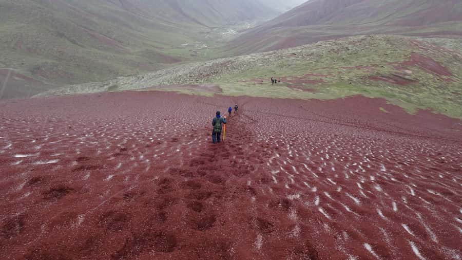 Peru: Rainbow Mountain and Red Valley View Point Tour - Price, what’s included, and the extra costs you should plan for