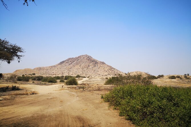 Piramids of Tucume Tour, Sican Museum and Lambayeque city tour - Group size, languages, and the practical rhythm of the day