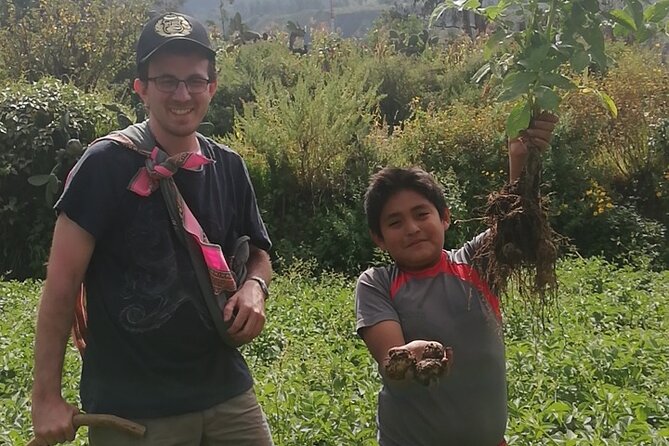 Private 3 Day Colca Canyon Trekking tour (superior Service) - Value and Logistics: Why This $400 Price Often Makes Sense