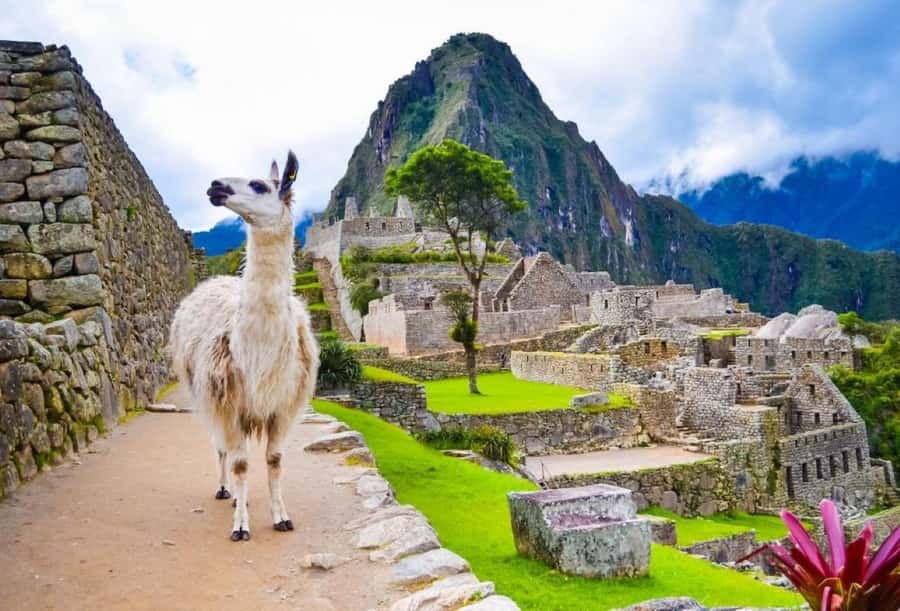 Private Guide in Machu Picchu for 3 Hours - Comfort and Rules: Pack Smart for 3 Hours