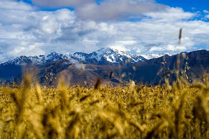 Private Tour: 2-Day Exploration of the Sacred Valley and Machu Picchu - Day 1 Finish: Train from Ollantaytambo to Aguas Calientes