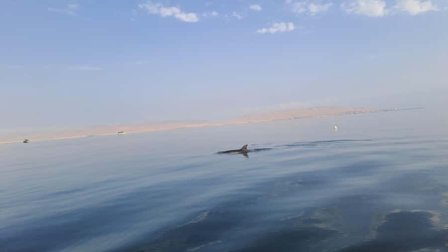 Private Tour: Ballestas Island & Huacachina Oasis, from Lima - Huacachina Oasis in the Desert: Buggy Rides and Sandboarding