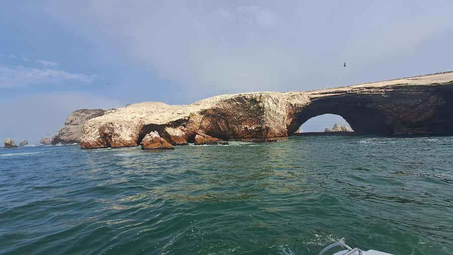 Private Tour: Ballestas Island & Huacachina Oasis, from Lima - Vineyard Visit and Pisco Tasting: A Local Flavor Stop You Shouldn’t Skip