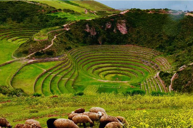 Private Tour Sacred Valley, Chinchero, Maras Moray, Ollantaytambo - Urubamba lunch: the Andean buffet stop you should plan for