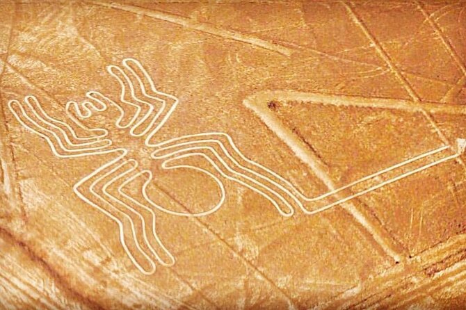 Private Tour to the Astonished Nazca Lines and Huacachina Oasis - A 6:00 am private start that actually saves your vacation time