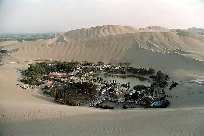 Private Tour to the Astonished Nazca Lines and Huacachina Oasis - Pisco Nietto in Ica: the tasting stop that feels like Peru, not a detour