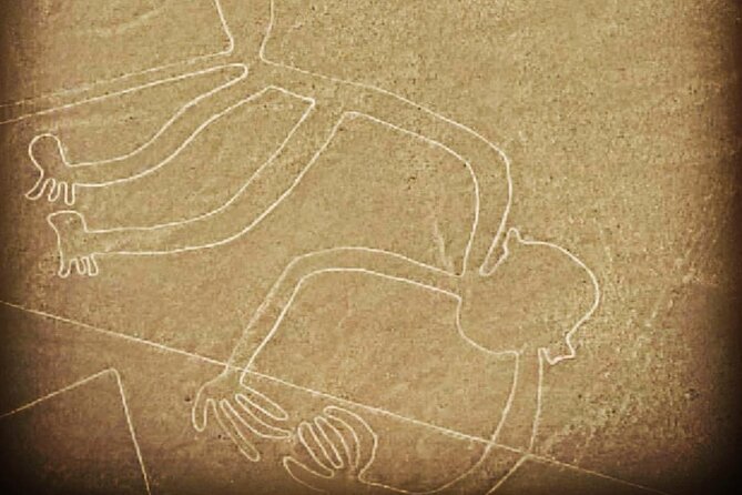 Private Tour to the Astonished Nazca Lines and Huacachina Oasis - The long drive back to Lima, and how private pacing helps