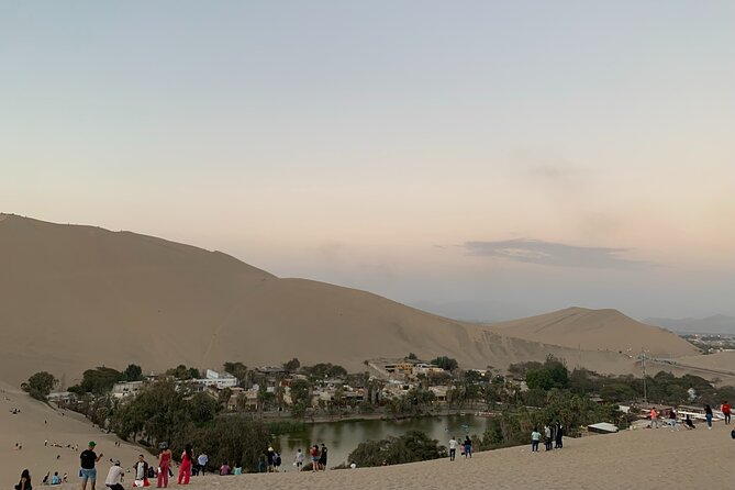 Private Tour to the Astonished Nazca Lines and Huacachina Oasis - Nazca Lines overflight: what you’re seeing and how to catch the right figures