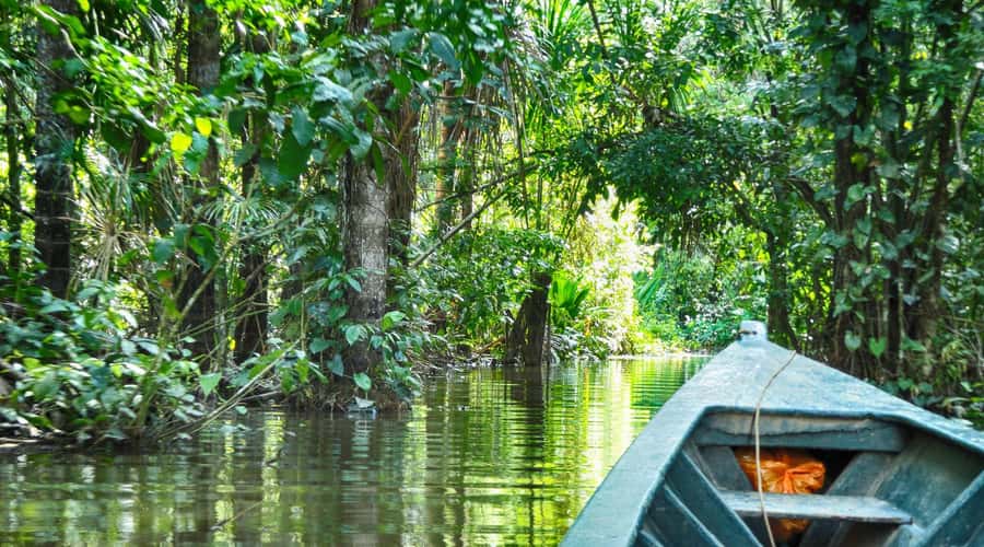 Puerto Maldonado: 2-Day Peruvian Tambopata Jungle Trip - Two Days in Tambopata: The Real Value of This Quick Jungle Hit