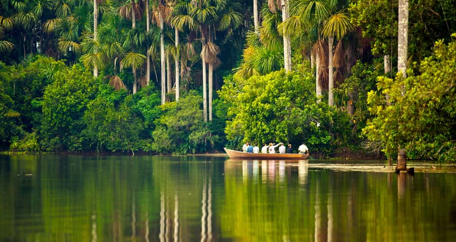 Puerto Maldonado: 2-Day Peruvian Tambopata Jungle Trip - Arrival in Puerto Maldonado and the Canopy Tower Zipline Combo