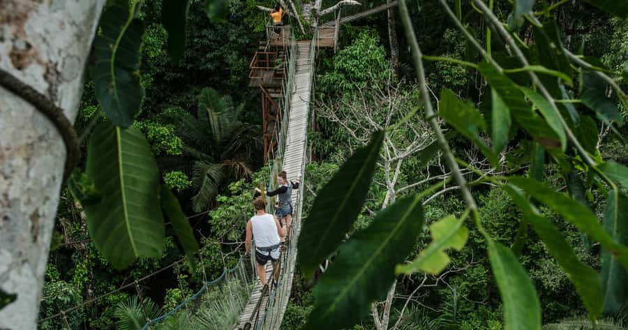 Puerto Maldonado: 2-Day Peruvian Tambopata Jungle Trip - Day Two: The Walk to Sandoval Lake, Then Canoe Time
