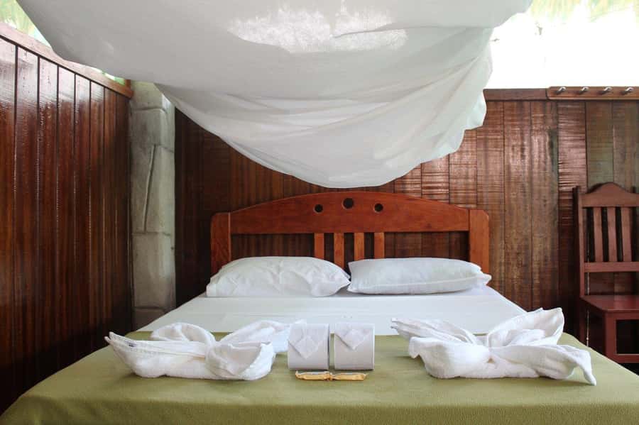 Puerto Maldonado: 2-Day Peruvian Tambopata Jungle Trip - Lodge Life, Meals, Charging, and That Pool Question