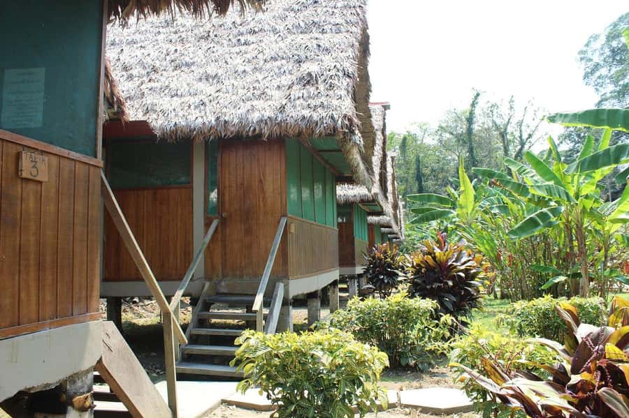 Puerto Maldonado: 2-Day Peruvian Tambopata Jungle Trip - Price and Logistics: Is $280 Worth It for What You Do?