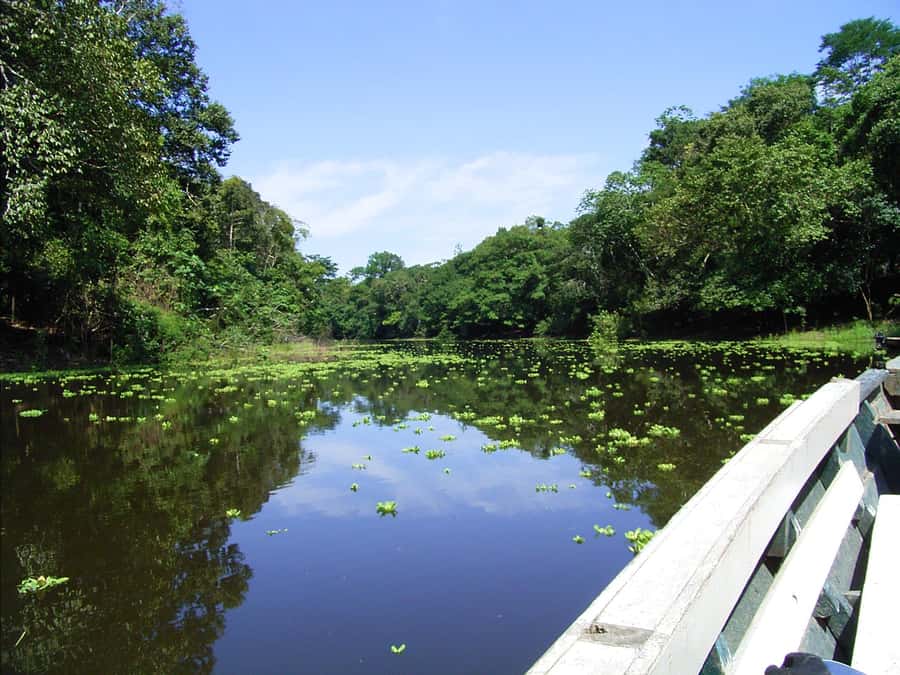 Puerto Maldonado: 2-Day Peruvian Tambopata Jungle Trip - Who This Trip Fits Best (And Who Should Skip It)
