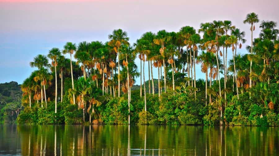 Puerto Maldonado: 2-Day Peruvian Tambopata Jungle Trip - Searching the Madre de Dios River for Caimans and Capybara