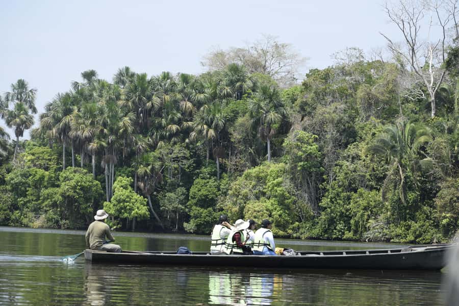 Puerto Maldonado: 4-Day Tambopata Rainforest Tour - Green House Tambopata: jungle-style base near the Tambopata River