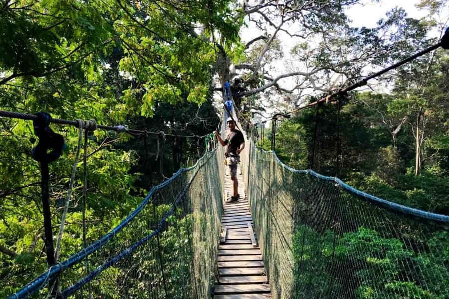 Puerto Maldonado: Jungle Adventure |Zipline + Canopy + Kayak - Key highlights you will feel right away