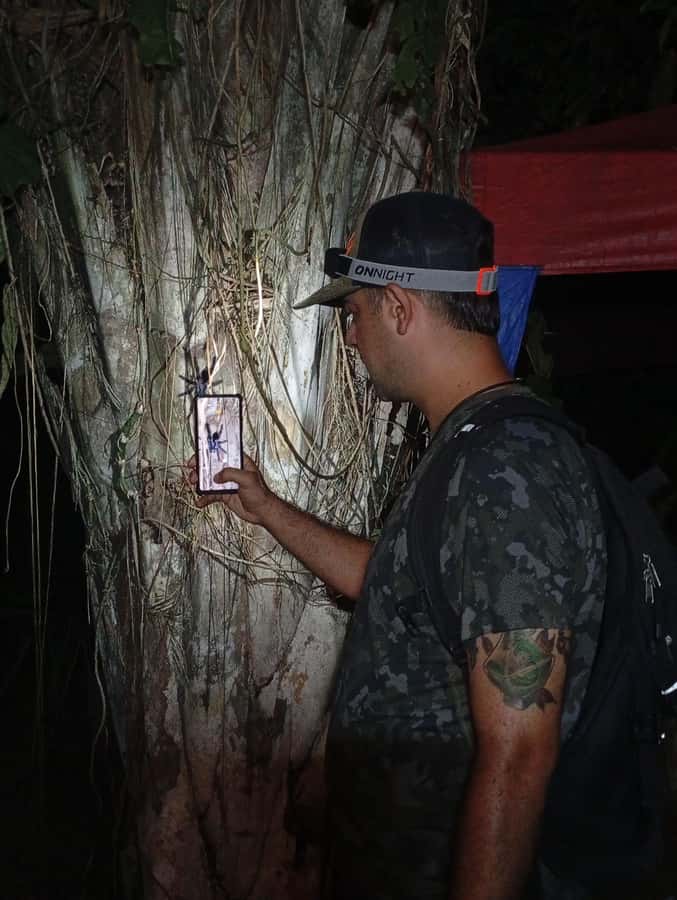 Puerto Maldonado: Jungle Night Tour with Sloths & Tarantulas - Tambopata National Reserve After Dark: Why Animals Show Up at Night