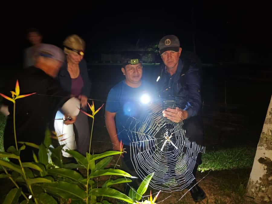 Puerto Maldonado: Jungle Night Tour with Sloths & Tarantulas - Spotting Tarantulas and Sloths: What You Should Expect to See