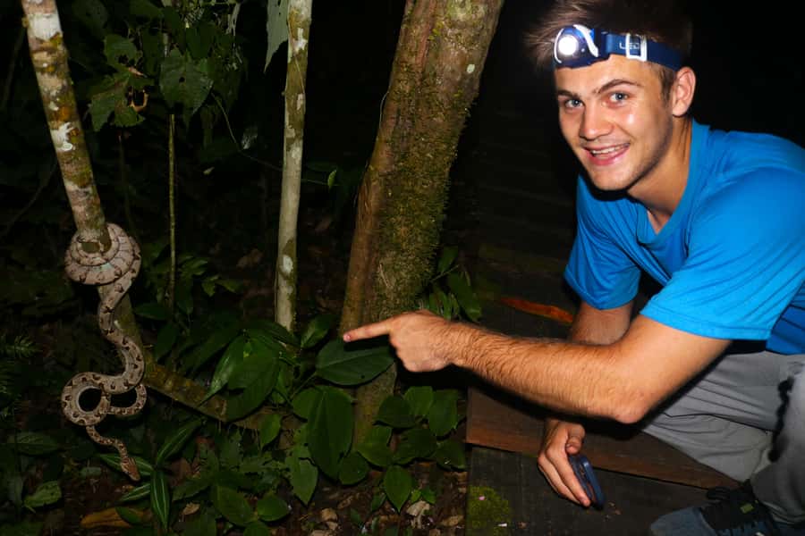 Puerto Maldonado: Jungle Night Tour with Sloths & Tarantulas - The 2-Hour Walk: How the Timing Actually Works