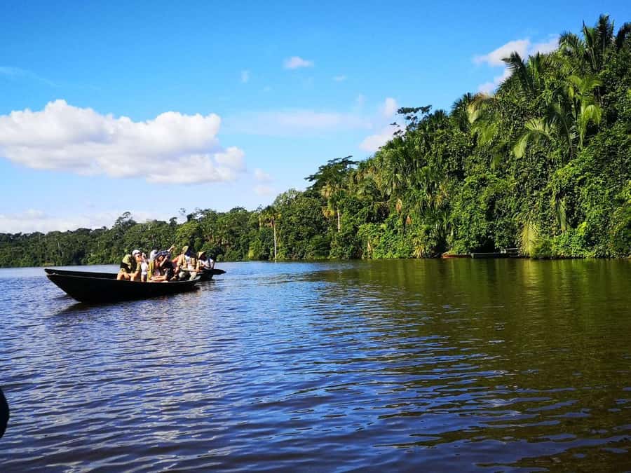 Puerto Maldonado: Lago Sandoval Day Trip with Lunch - Key Highlights You’ll Actually Care About