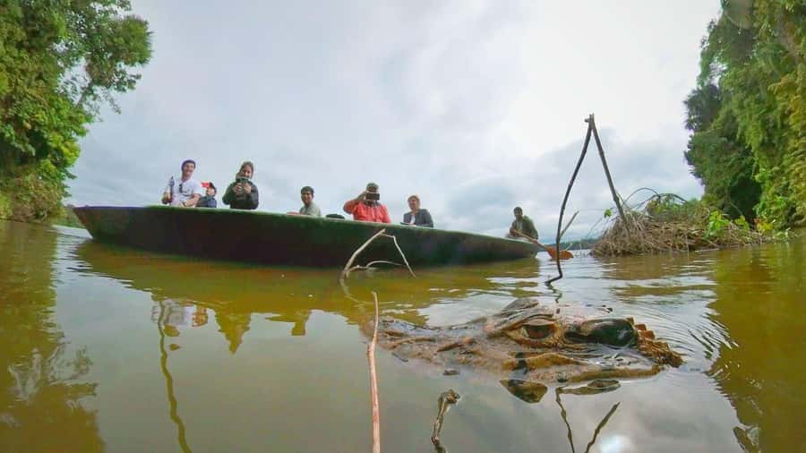Puerto Maldonado: Lago Sandoval Day Trip with Lunch - The Motorboat Leg: Getting to Tambopata Efficiently