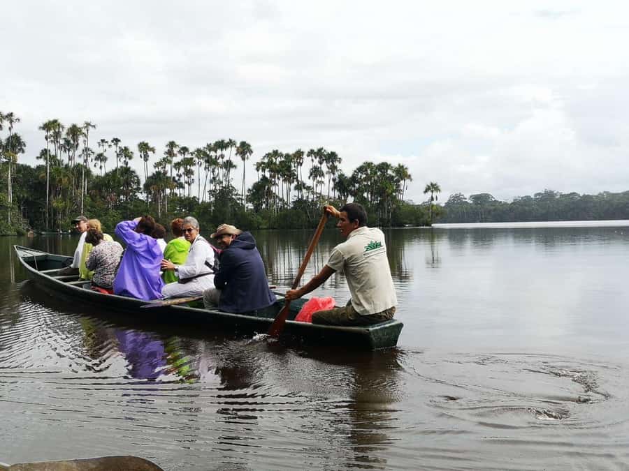 Puerto Maldonado: Lago Sandoval Day Trip with Lunch - Price and Value: What $78 per Person Gets You