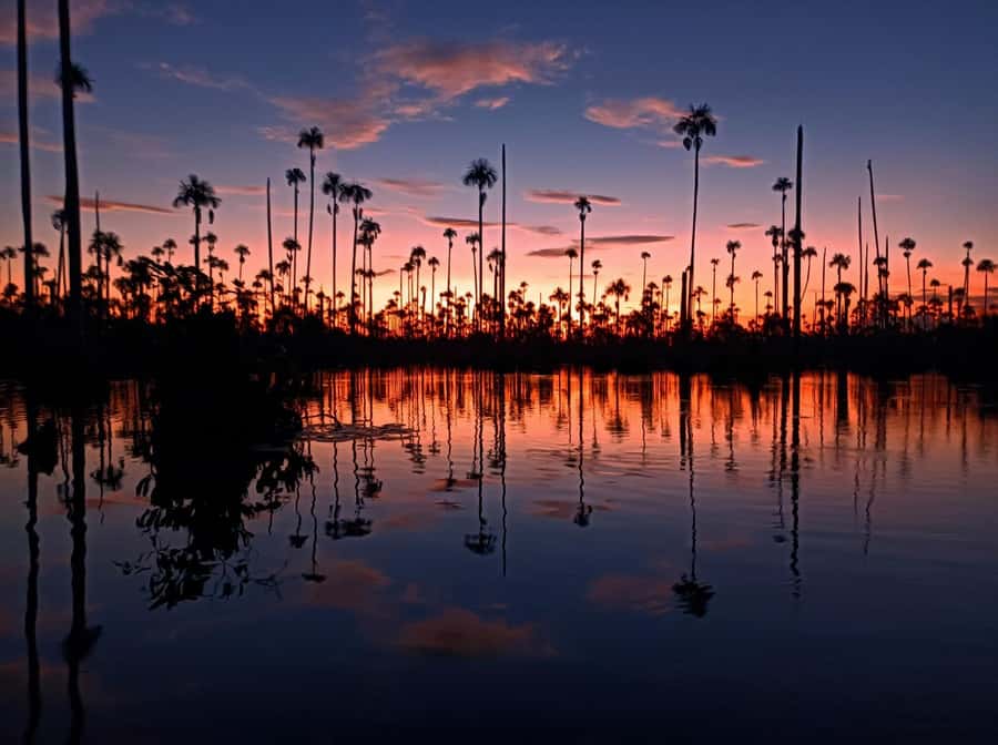 Puerto Maldonado: Lake Yacumama sunset and piranha fishing - Caiman searching and wildlife watching from the boat