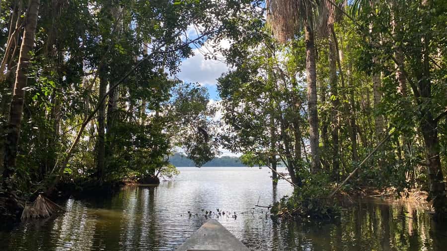 Puerto Maldonado: Sandoval Lake 4-Day, 3-Night Guided Tour - Puerto Maldonado and MonteAmazonico Lodge: the base that sets the tone