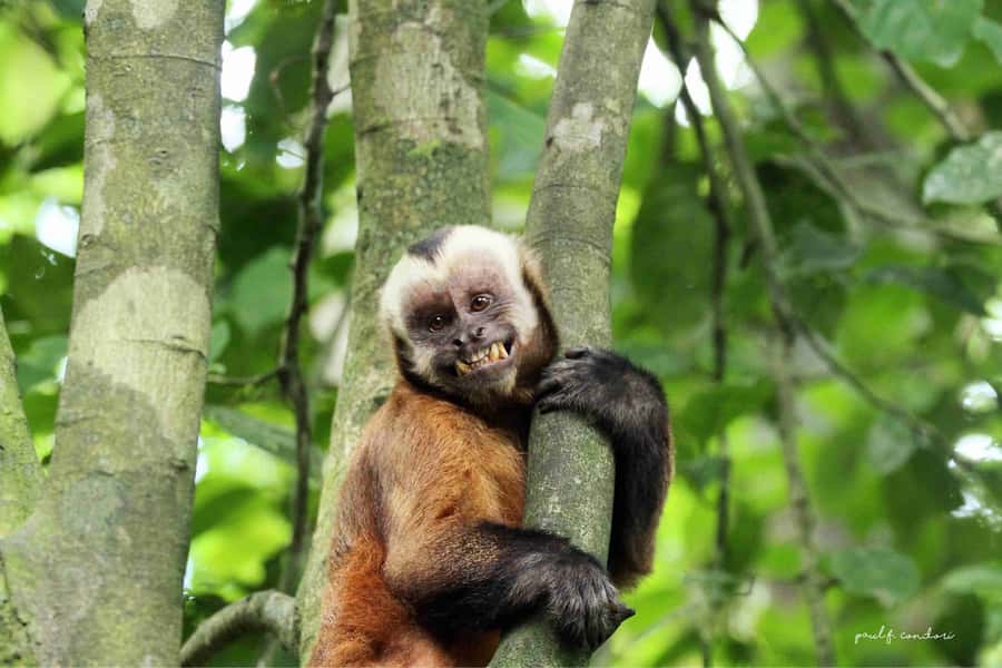 Puerto Maldonado: Sandoval Lake 4-Day, 3-Night Guided Tour - Day 4: Easy return to Puerto Maldonado, no last-minute chaos