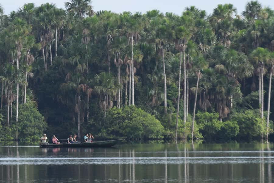 Puerto Maldonado: Sandoval Lake Full-Day Trip with Canoeing - The 55-minute rainforest walk to the lake