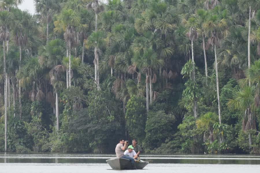 Puerto Maldonado: Sandoval Lake Full-Day Trip with Canoeing - The route: hotel pickup to Madre de Dios river boat