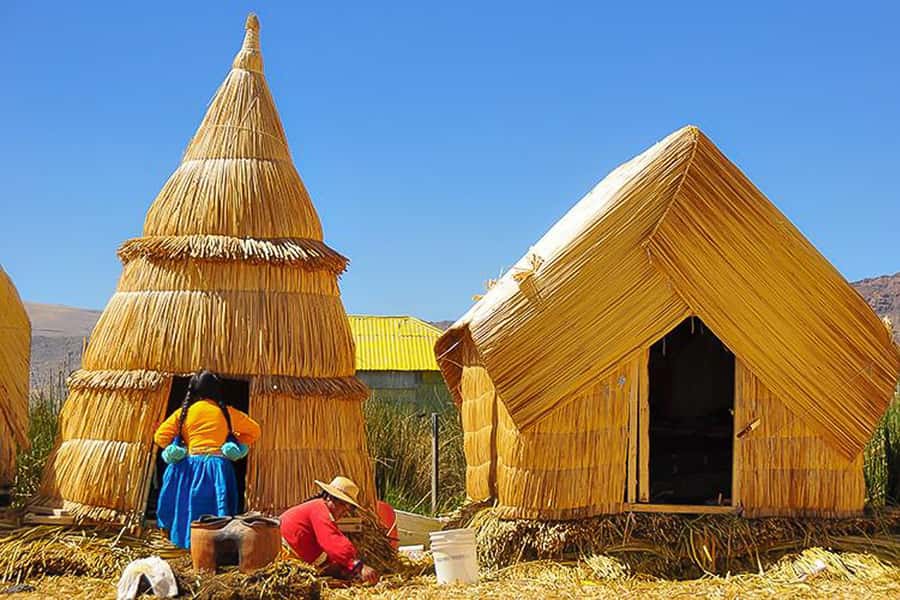 Puno: Lake Titicaca Day Tour - Key Highlights You’ll Notice Right Away