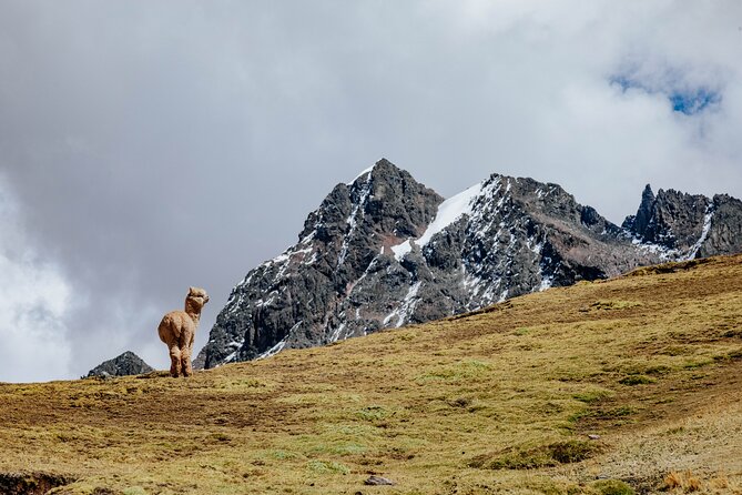 Rainbow Mountain and Red Valley Hike – 2 Days / 1 Night - Price and value: what $415 includes, and where to spend extra