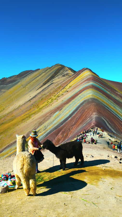 rainbown mountain Vinicunca 1 day - Rainbow Mountain Vinicunca: a full-day trip with real altitude payoff