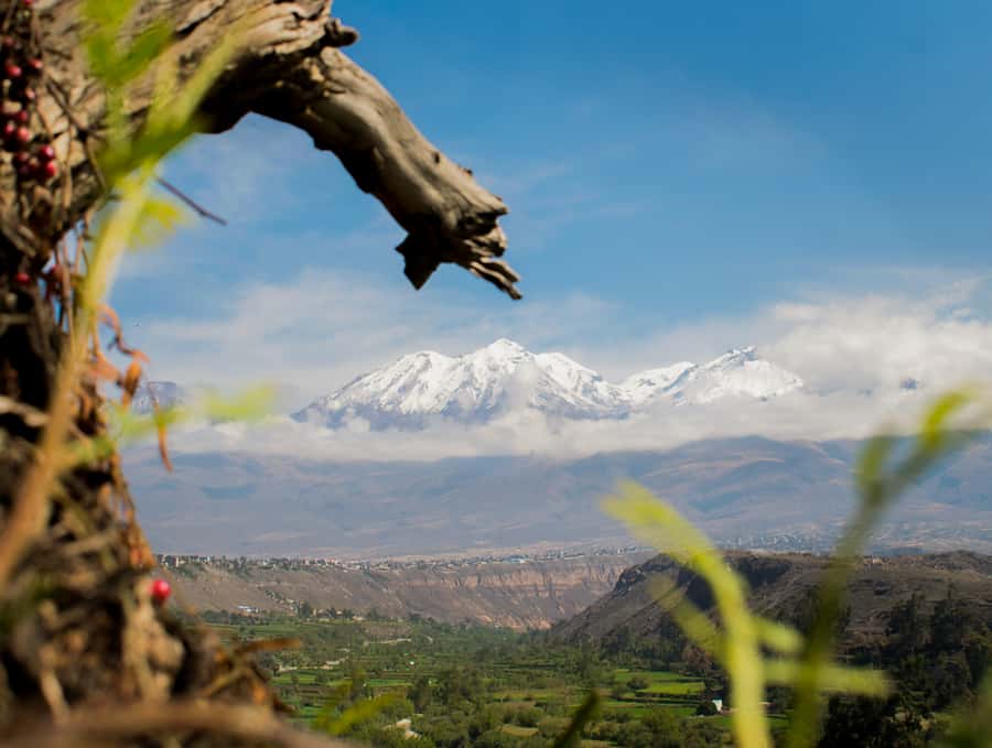 Rock Climbing in Arequipa, Perú - What you get for $49: real value, not just a cheap label